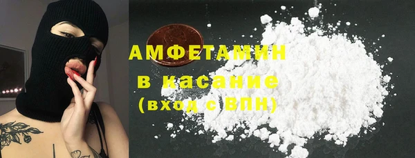 гидра Аркадак