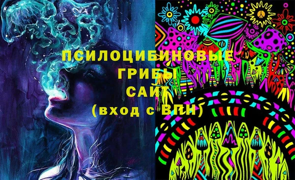 тгк Армянск