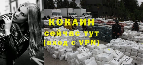 гидра Аркадак