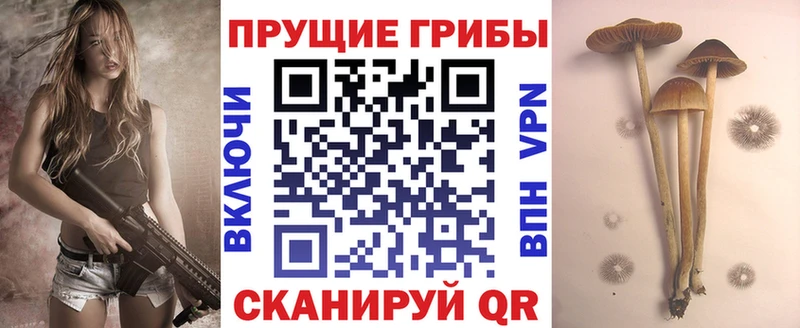 Галлюциногенные грибы мицелий  Дыгулыбгей 